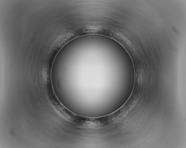 X0000112820455200908211209