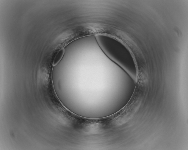 X0000112820456200908211209