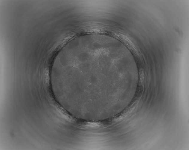 X0000112820457200908211209