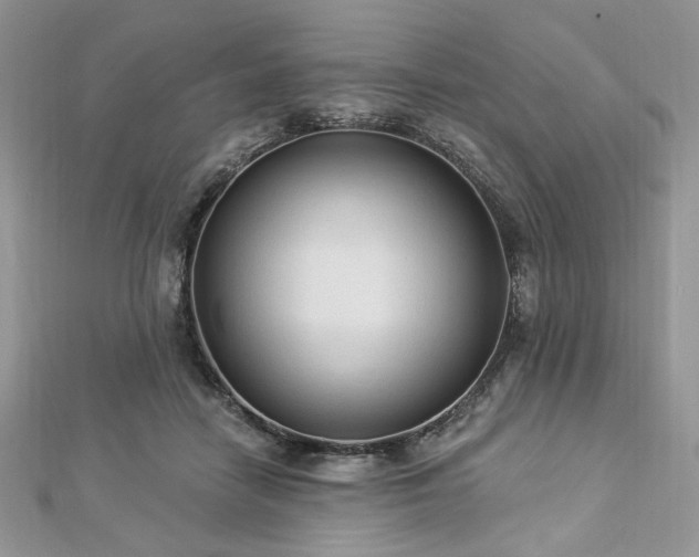 X0000112820458200908211209