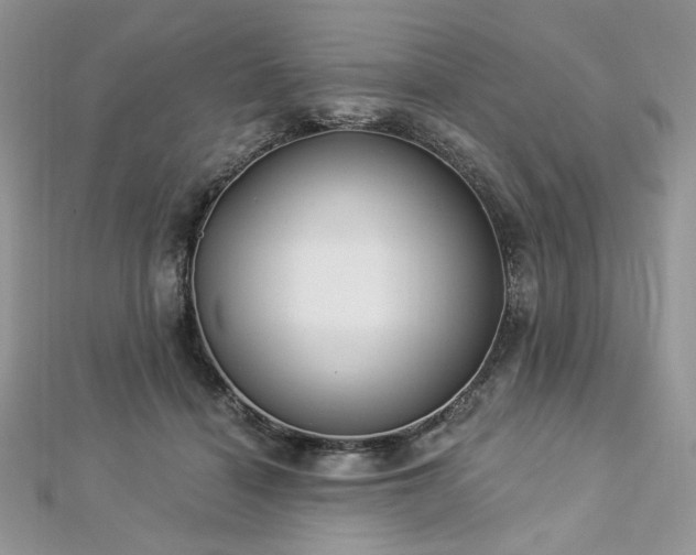 X0000112820460200908211210
