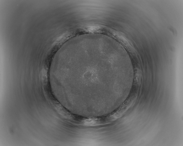 X0000112820461200908211210