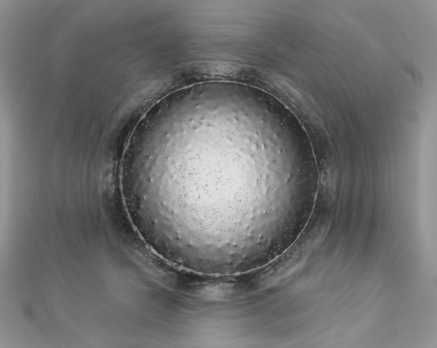 X0000112820462200908211210
