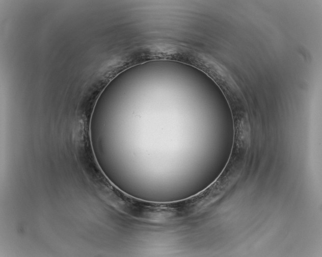 X0000112820463200908211210