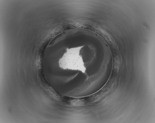 X0000112820465200908211210