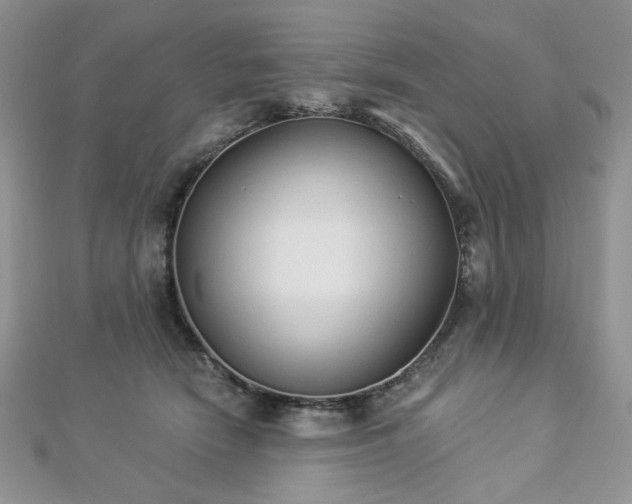 X0000112820466200908211210
