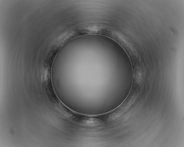 X0000112820467200908211210