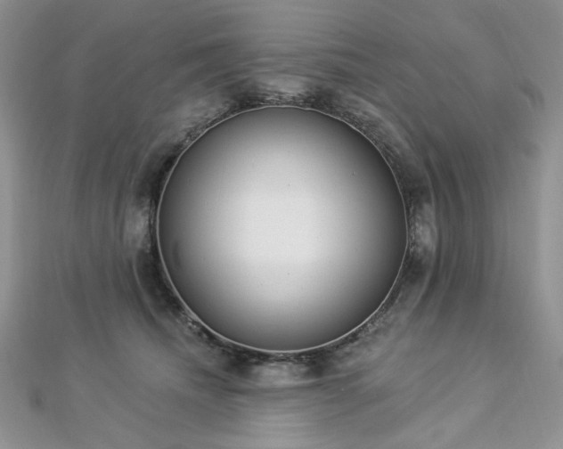 X0000112820468200908211210