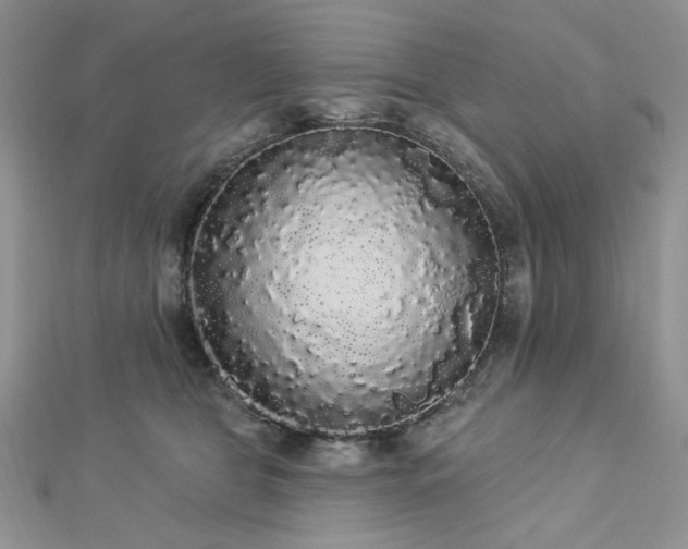 X0000112820469200908211210