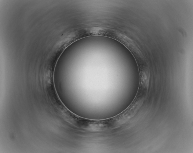 X0000112820470200908211210