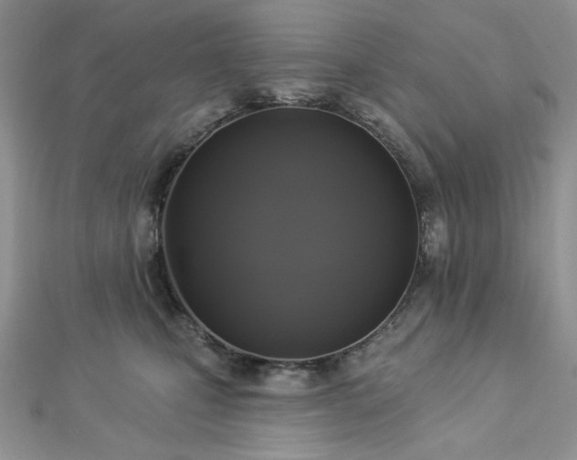 X0000112820471200908211210