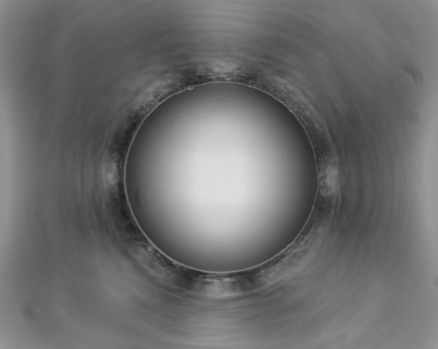 X0000112820472200908211210