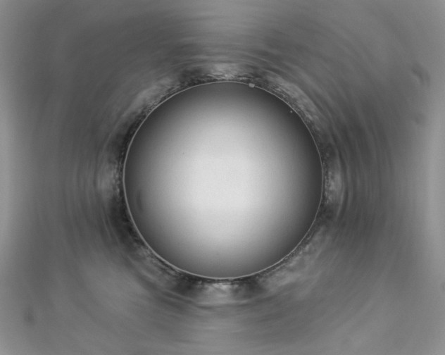 X0000112820473200908211210