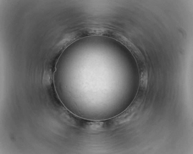 X0000112820474200908211210