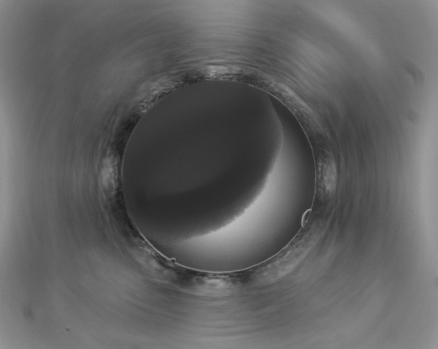X0000112820475200908211210