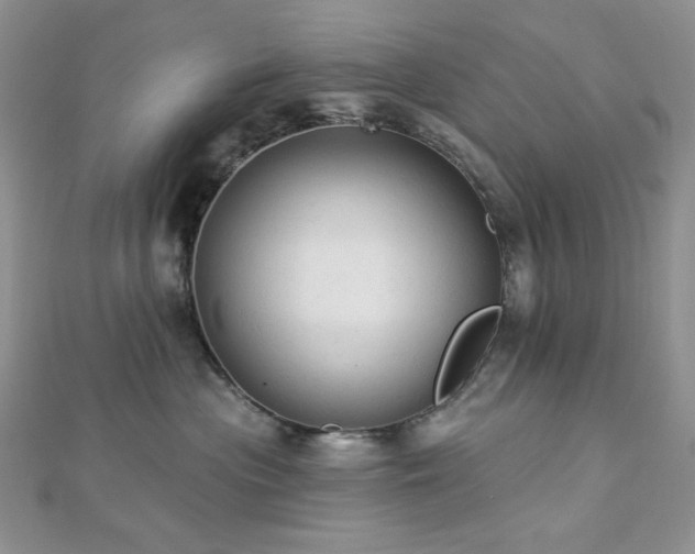 X0000112820477200908211210
