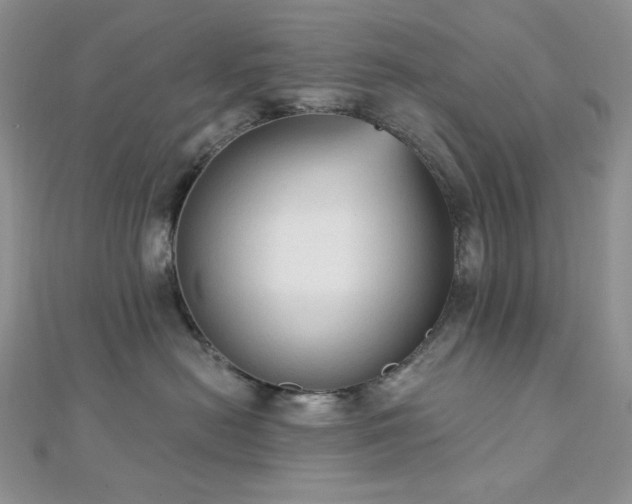 X0000112820478200908211210