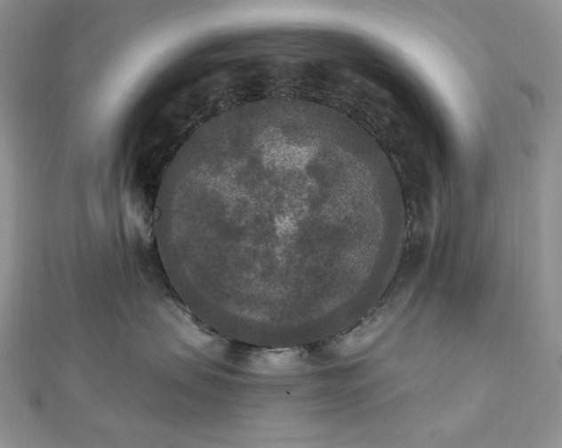 X0000112820479200908211210