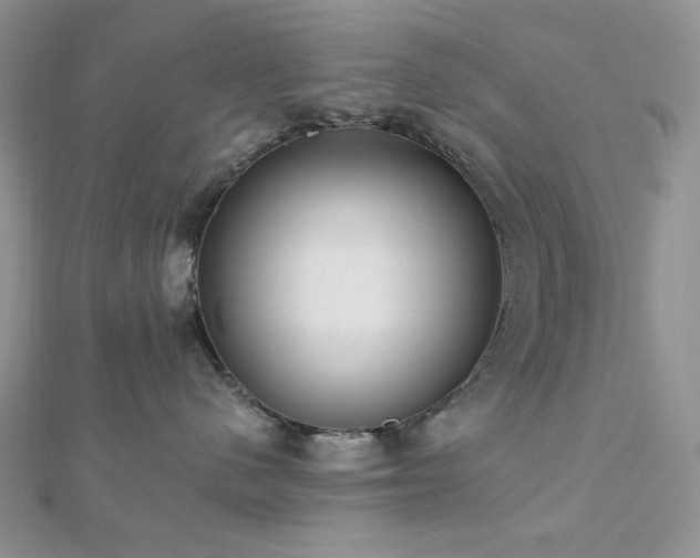 X0000112820480200908211210