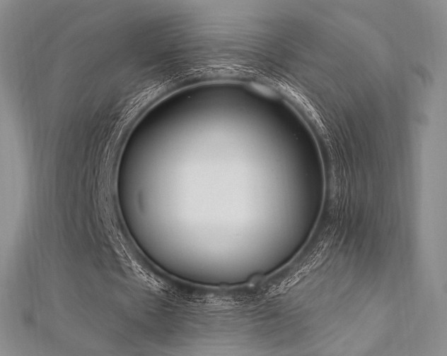 X0000112820481200908211209