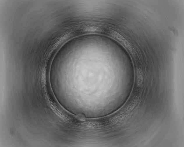 X0000112820482200908211209