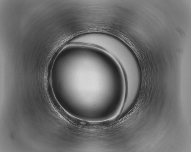 X0000112820485200908211209
