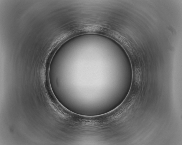 X0000112820486200908211209