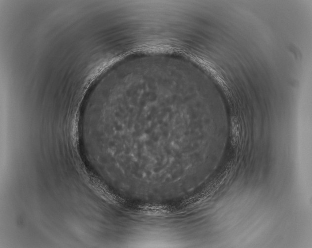 X0000112820487200908211209