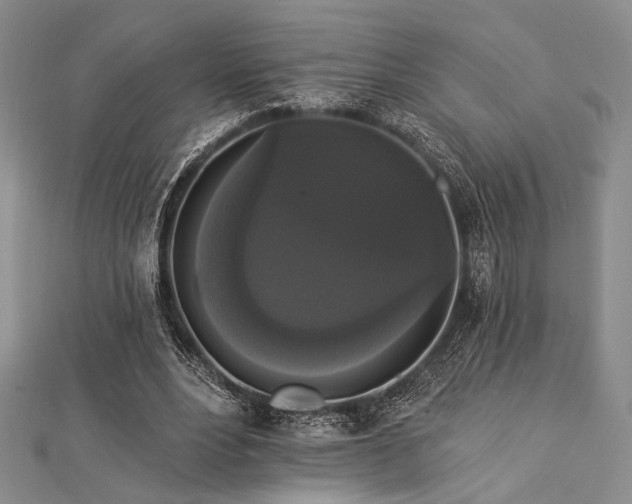 X0000112820488200908211209