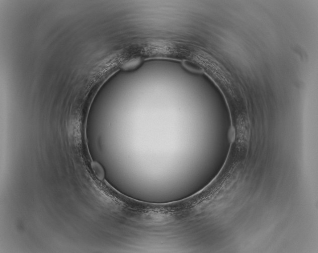 X0000112820489200908211209
