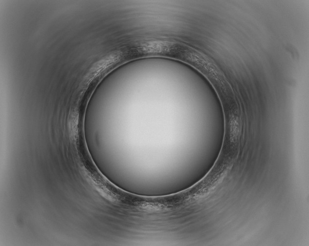 X0000112820490200908211209