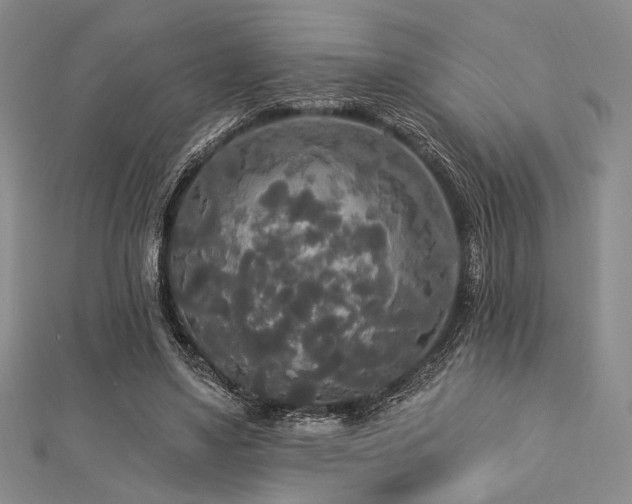 X0000112820491200908211209
