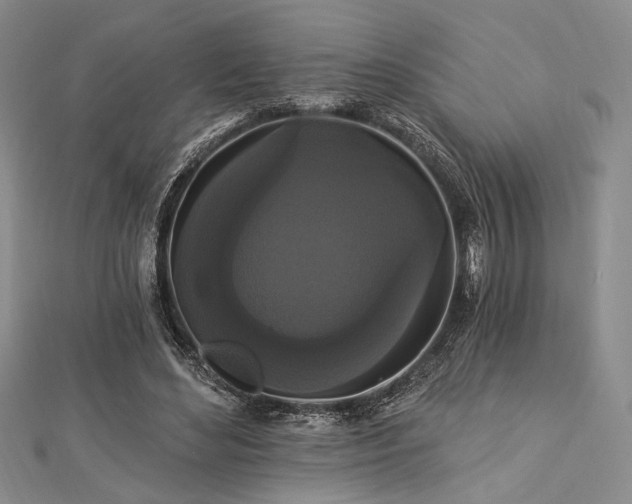 X0000112820492200908211209