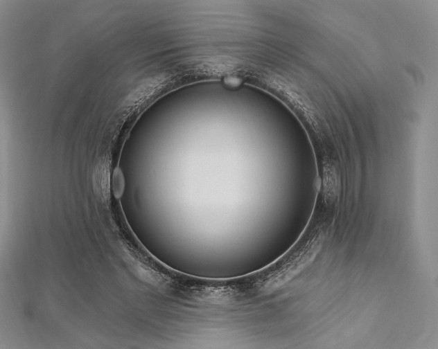 X0000112820493200908211209