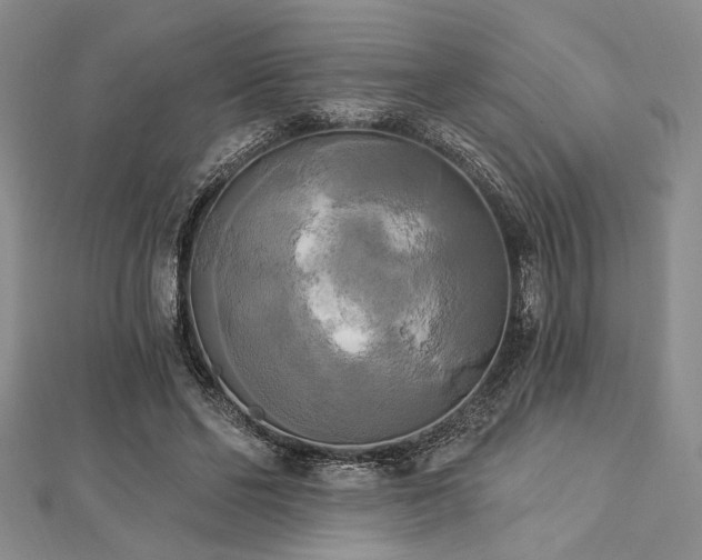 X0000112820494200908211209