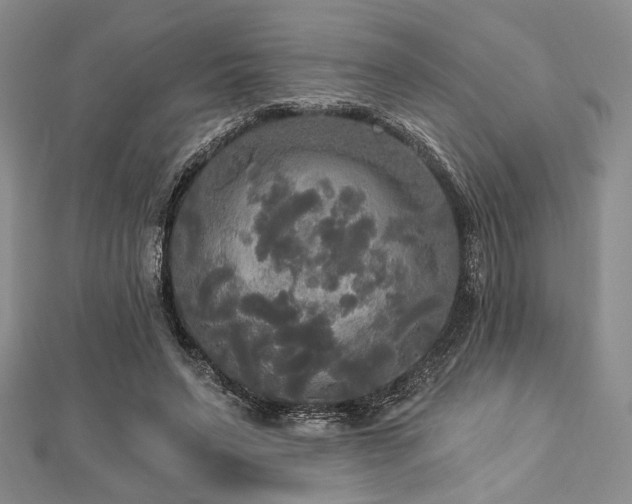 X0000112820495200908211209