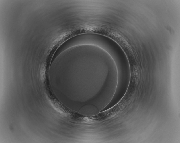 X0000112820496200908211209