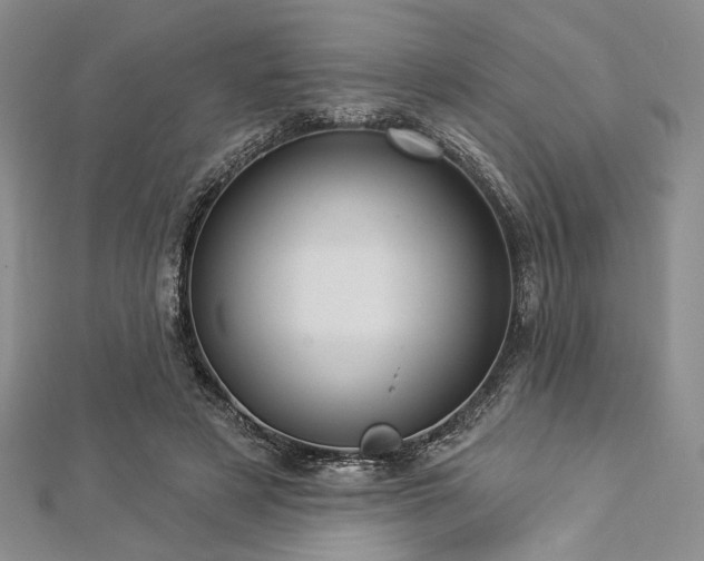 X0000112820497200908211209