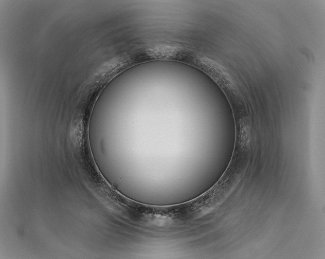 X0000112820498200908211209