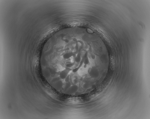 X0000112820499200908211209