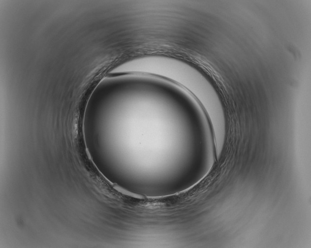 X0000112820501200908211209