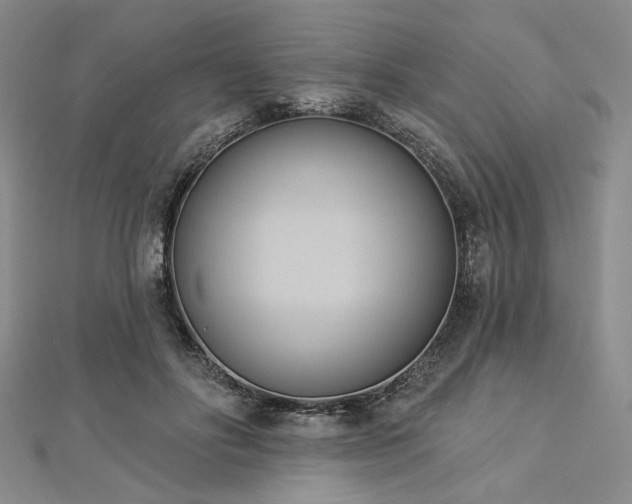 X0000112820502200908211209