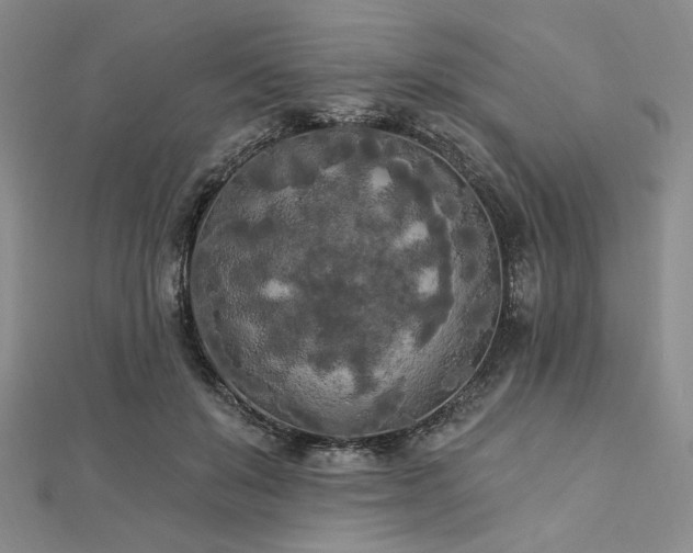 X0000112820503200908211209