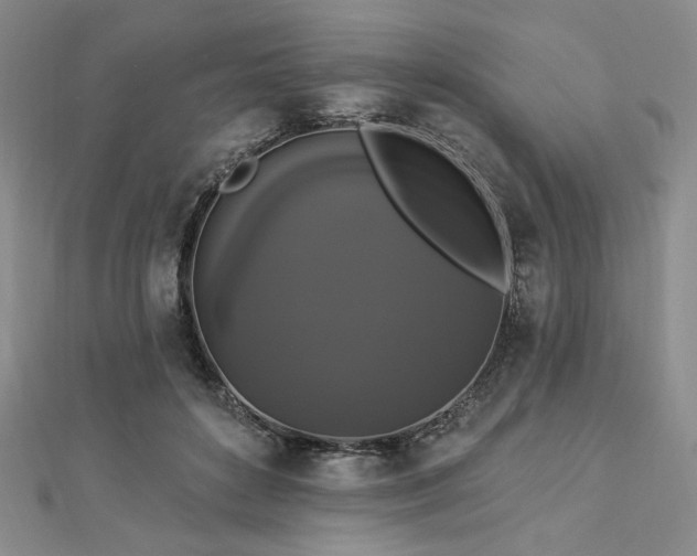 X0000112820504200908211209