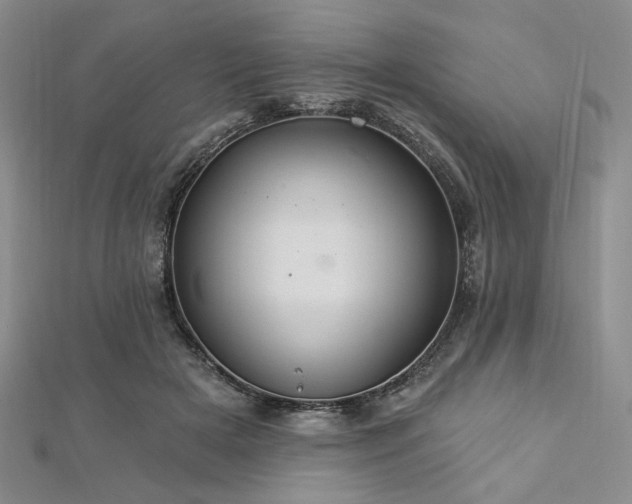 X0000112820505200908211209