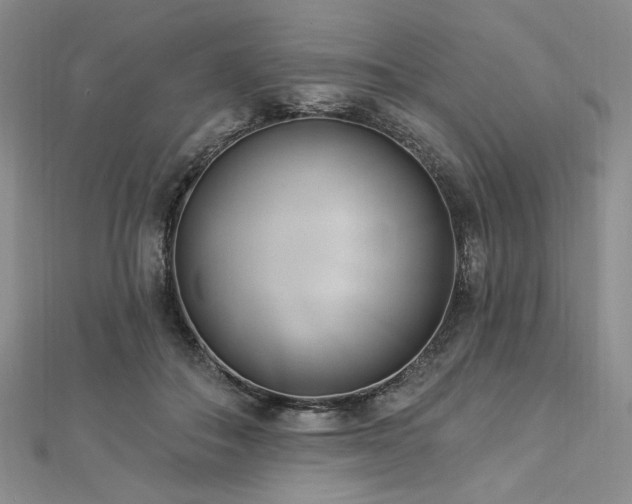 X0000112820506200908211209