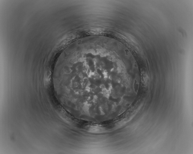 X0000112820507200908211209