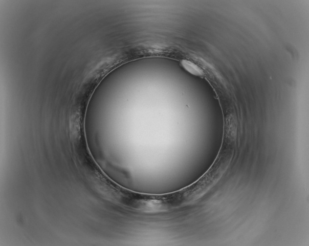 X0000112820509200908211209