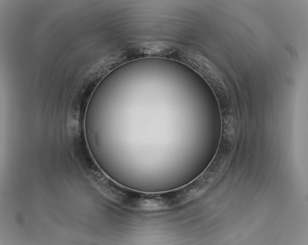 X0000112820510200908211209