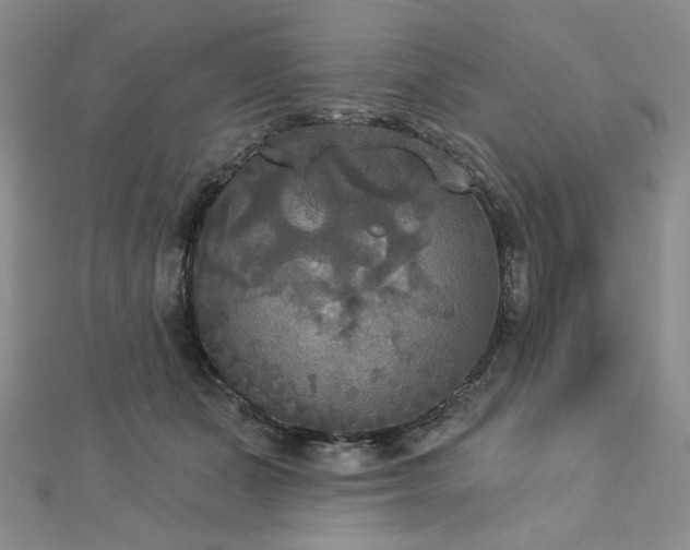 X0000112820511200908211209